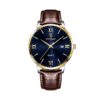gold-blue
